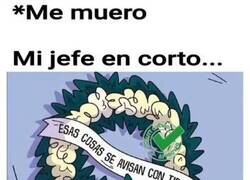 Enlace a Todo un detalle por parte de mi jefe