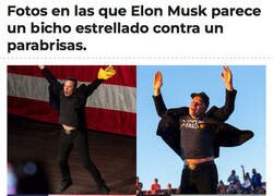 Enlace a Parecidos razonables