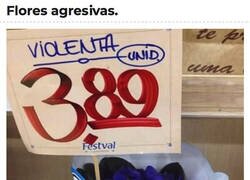 Enlace a Violetas violentas