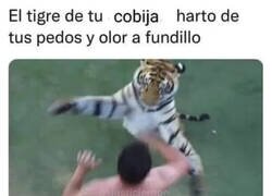 Enlace a Todos llegamos a un límite