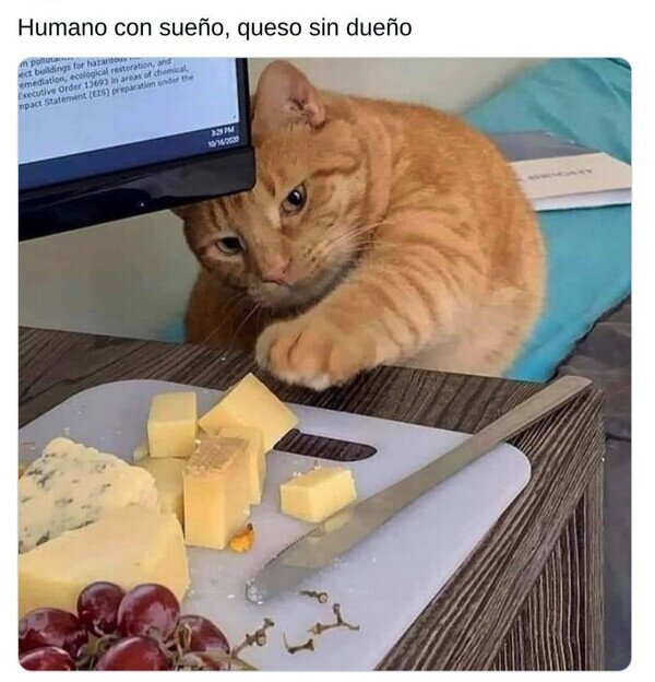 Meme_otros - No se le puede dejar nada a la vista