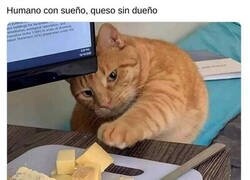 Enlace a No se le puede dejar nada a la vista