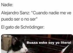 Enlace a El Alejandro Sanz de Schrodinger
