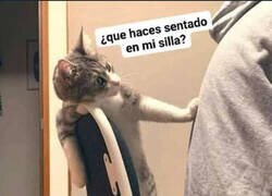 Enlace a La silla del Misifú