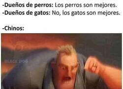 Enlace a Zanjando el debate