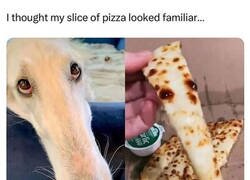 Enlace a Este trozo de pizza me resulta familiar