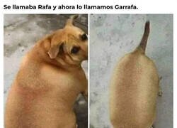 Enlace a Perfectamente redondo