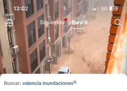 Enlace a Ante catástrofes así hay gente que saca su peor cara