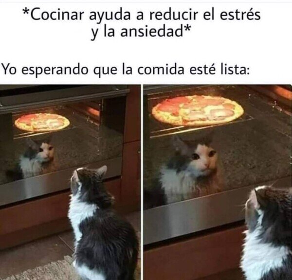 Meme_otros - No me está funcionando