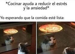 Enlace a No me está funcionando