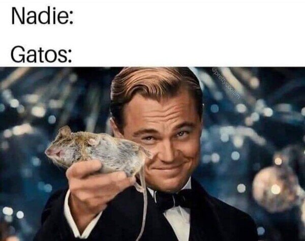 Meme_otros - Esa es su ofrenda