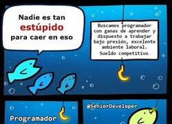 Enlace a Todos los recién salidos de la carrera pican en eso