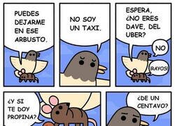 Enlace a Ratoncito engañoso