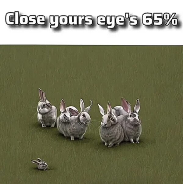 Meme_otros - Estos conejitos quieren decirte algo