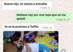 Enlace a Cuando el hijo vuela del nido