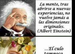 Enlace a Nada vuelve a la dimensión de antes