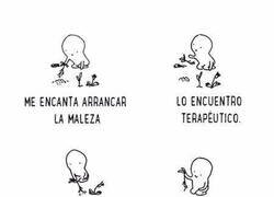 Enlace a Arrancando la maleza desde la raíz