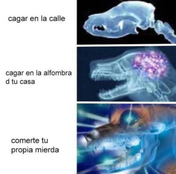 Meme_otros - Un meme para perros