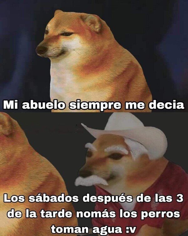 Otros - Las sabias palabras del abuelo