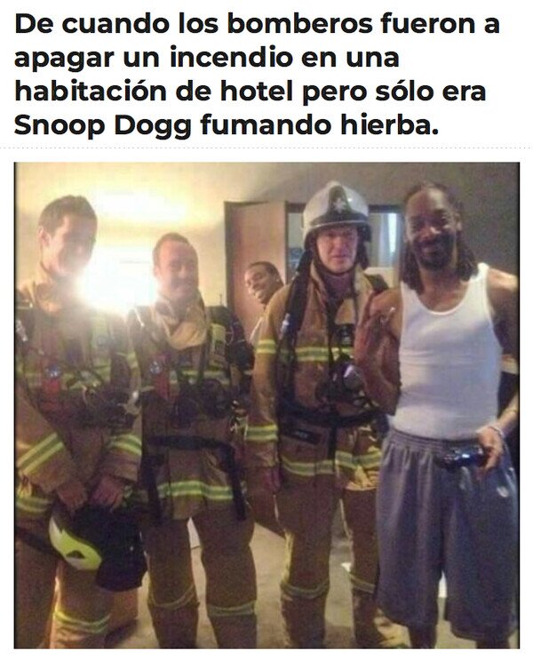 Meme_otros - Un día normal en la vida de Snoop Dogg