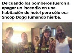 Enlace a Un día normal en la vida de Snoop Dogg