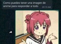 Enlace a Para absolutamente todo