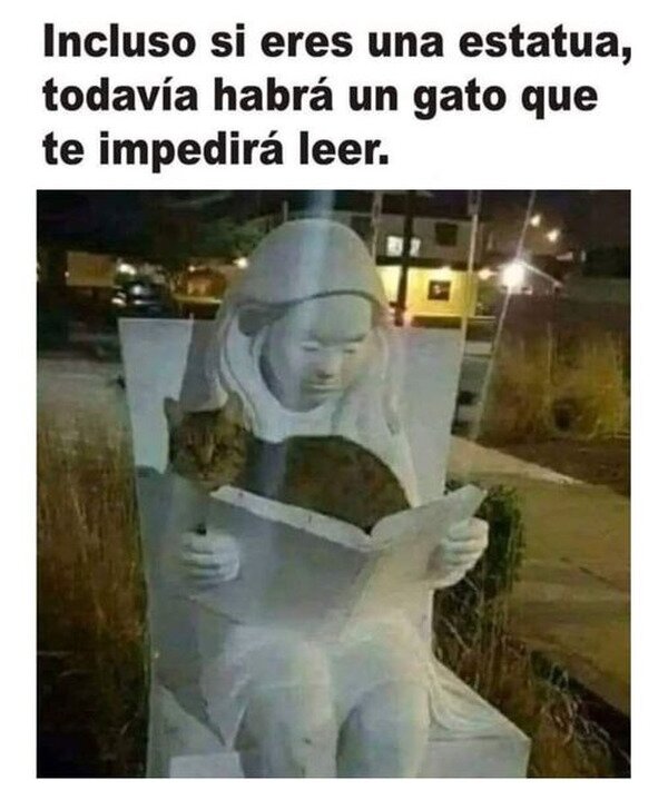 Meme_otros - Qué le importa a él que seas de piedra