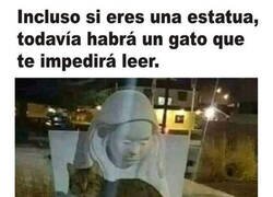 Enlace a Qué le importa a él que seas de piedra