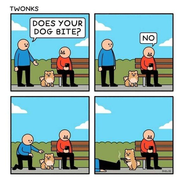 Meme_otros - ¿El perro muerde?