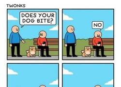 Enlace a ¿El perro muerde?