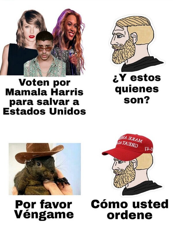 Meme_otros - Una ardilla decantó las elecciones