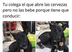 Enlace a El mejor amigo del hombre