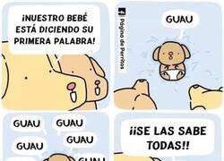 Enlace a Crecen tan rápido...