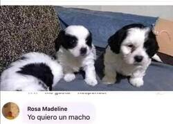 Enlace a Señora, contrólese