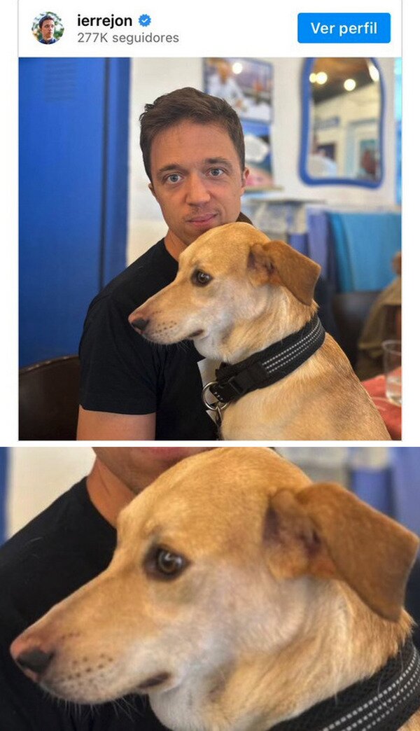 Meme_otros - Ese perro ha visto cosas...