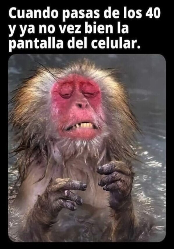 viejo,40,edad,ver,pantalla,móvil