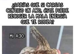 Enlace a Absorvió demasiado