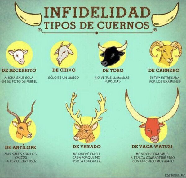 Meme_otros - Tipos de cuernos