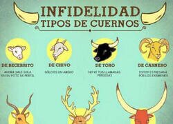 Enlace a Tipos de cuernos