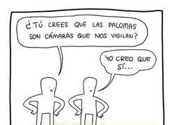 Enlace a ¿Las palomas nos vigilan?