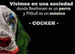 Enlace a Palabras del Cocker