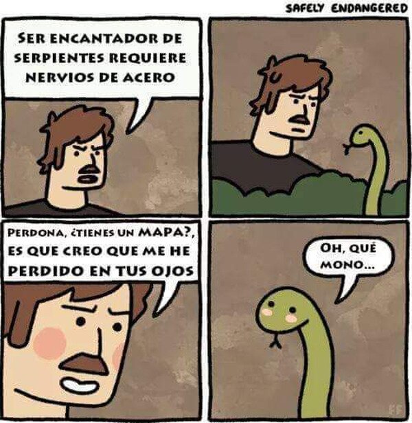 encantador,serpientes