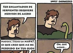 Enlace a El encantador de serpientes