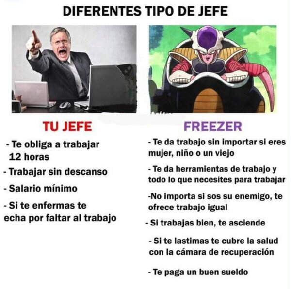 Otros - Tengo que mandar un curriculum a Freezer