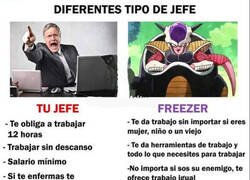 Enlace a Tengo que mandar un curriculum a Freezer