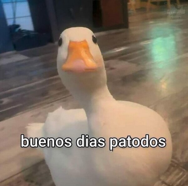 Meme_otros - Quedas saludado pato'l día