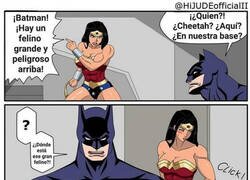 Enlace a Hay un felino arriba