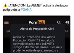 Enlace a Por favor, tened cuidado...