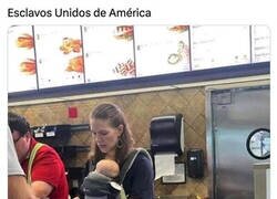 Enlace a El país de la libertades