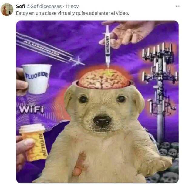 cerebro,clase,virtual,avanzar,vídeo